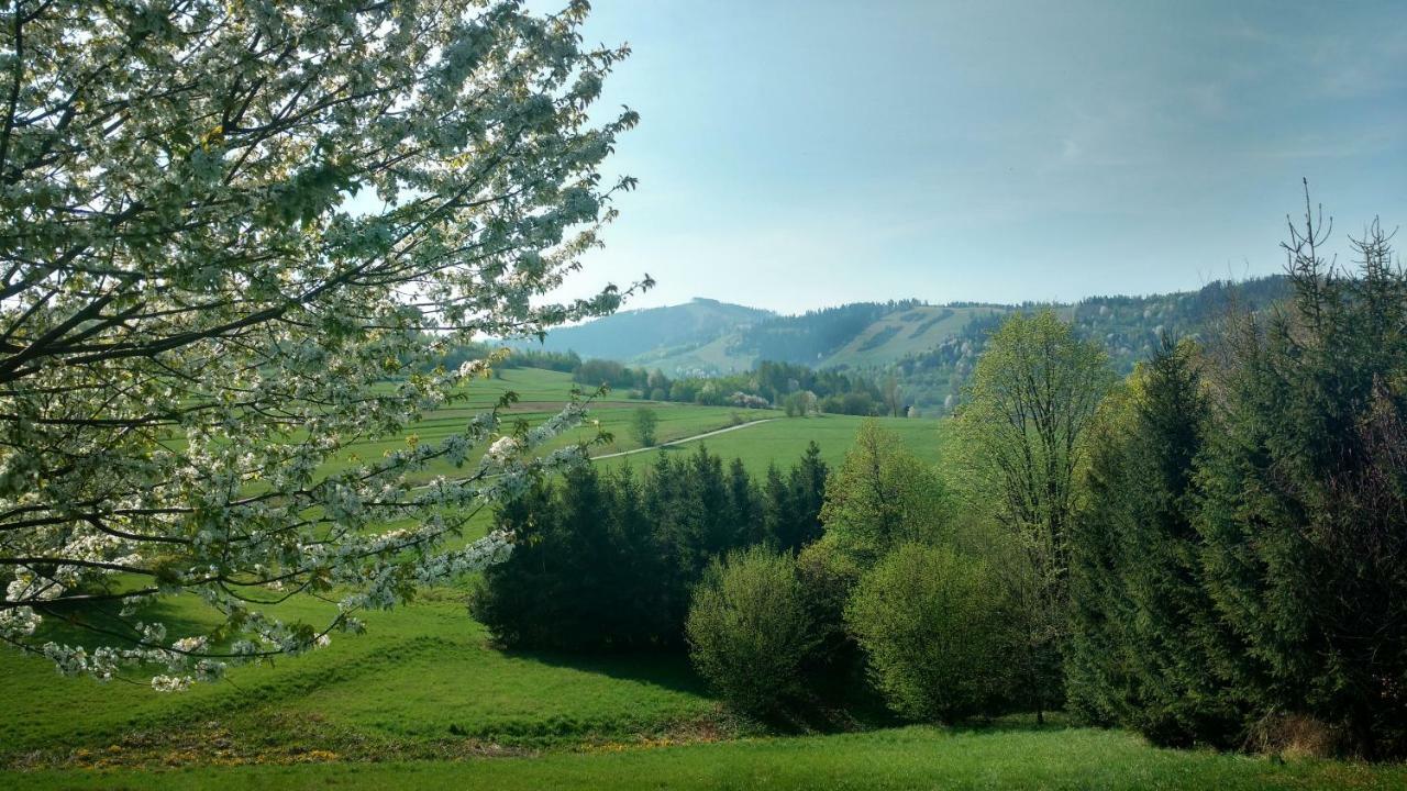 Noclegi Przy Szlaku Zabnica Kültér fotó