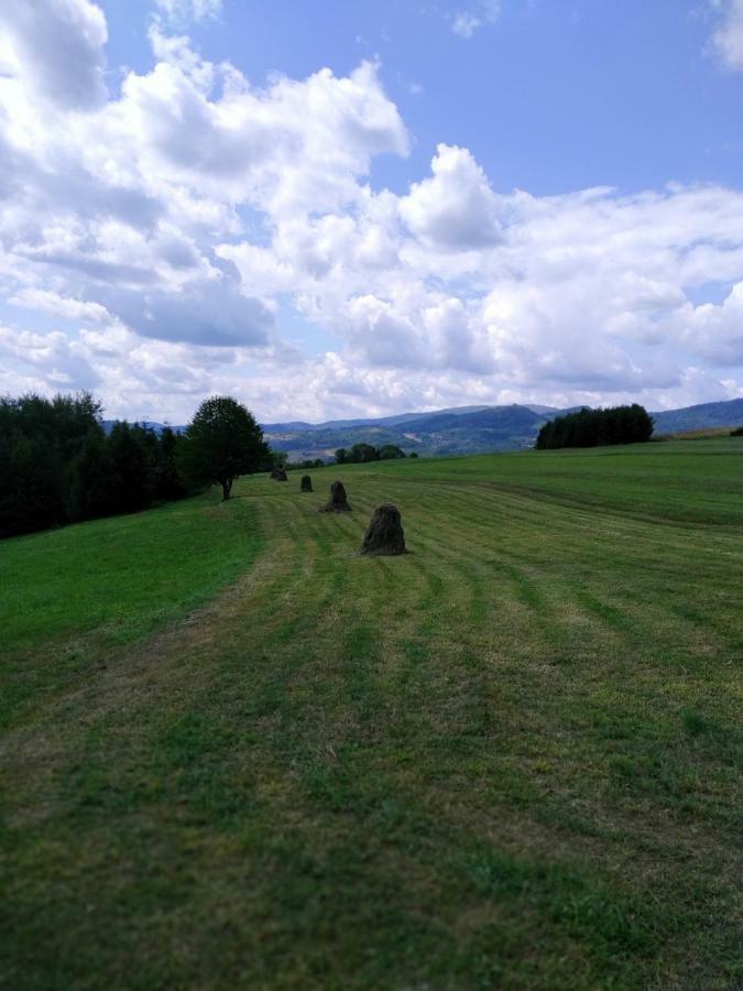 Noclegi Przy Szlaku Zabnica Kültér fotó
